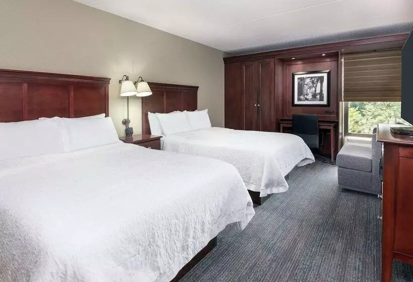 اتاق استاندارد با 2 تخت دوبل, Hampton Inn By Hilton Indianapolis South
