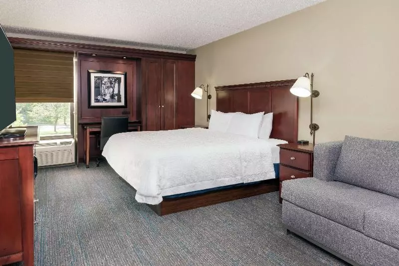 اتاق لوکس با تخت بزرگ, Hampton Inn By Hilton Indianapolis South
