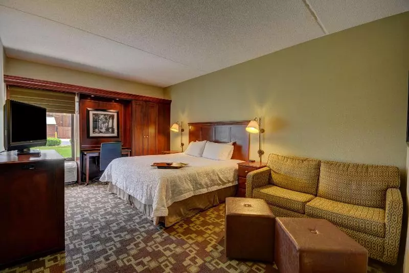 اتاق لوکس با تخت بزرگ, Hampton Inn By Hilton Indianapolis South