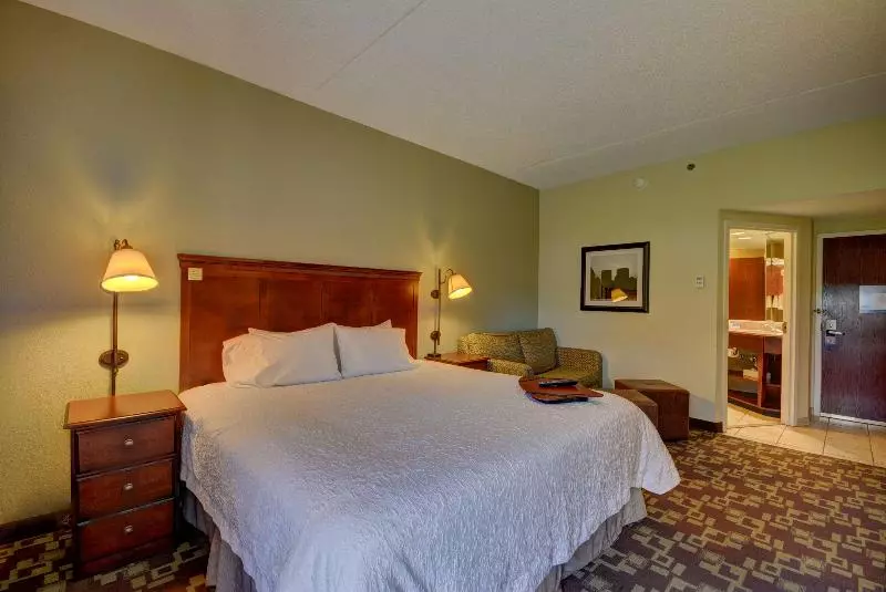 اتاق لوکس با تخت بزرگ, Hampton Inn By Hilton Indianapolis South