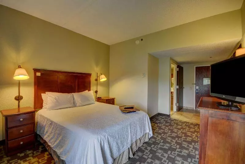 اتاق لوکس با تخت بزرگ, Hampton Inn By Hilton Indianapolis South