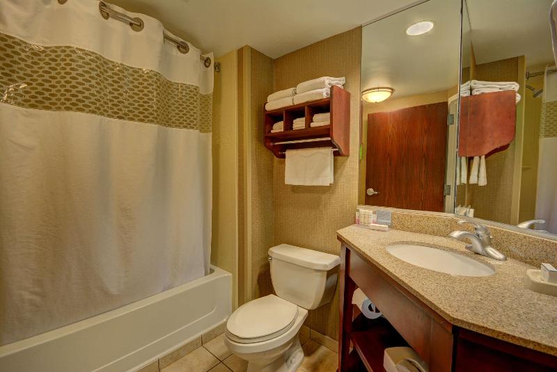 חדר דחוקס עם מיטת קינג, Hampton Inn By Hilton Indianapolis South