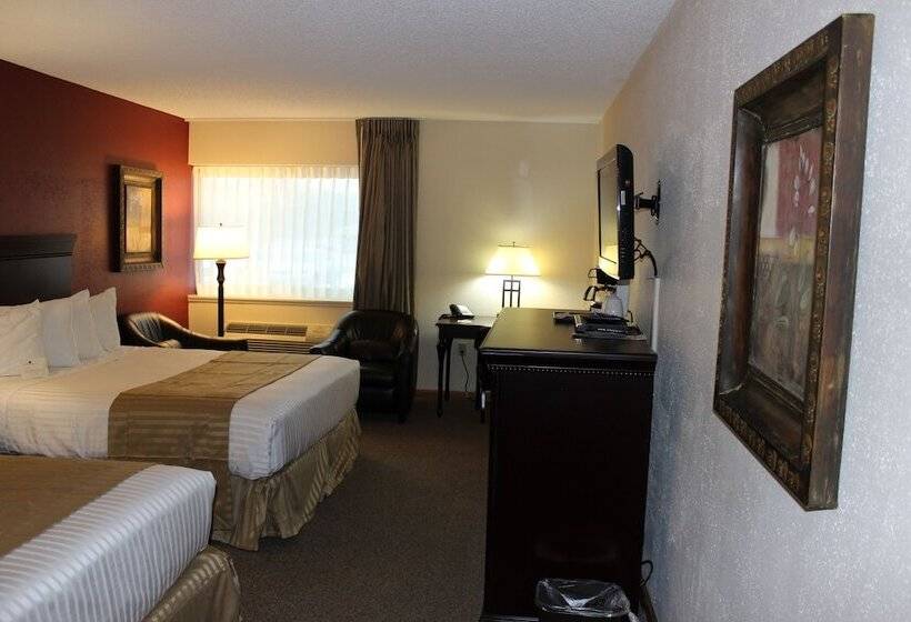 스탠다드 룸, The Harrington Inn