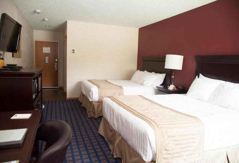 스탠다드 룸, The Harrington Inn