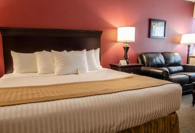 스탠다드 룸 킹사이즈 침대, The Harrington Inn