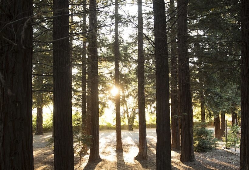 スタンダードルーム, Harvest Inn