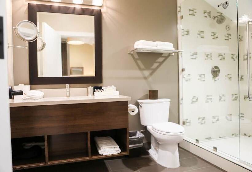 スタンダードルーム, Harvest Inn