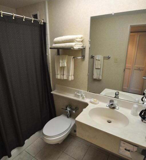 غرفة قياسية مزوَّدة بجاكوزي, Hillside Inn