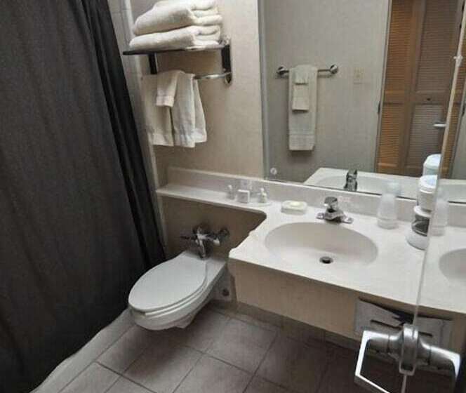 غرفه قياسيه سريرين مزدوجين, Hillside Inn