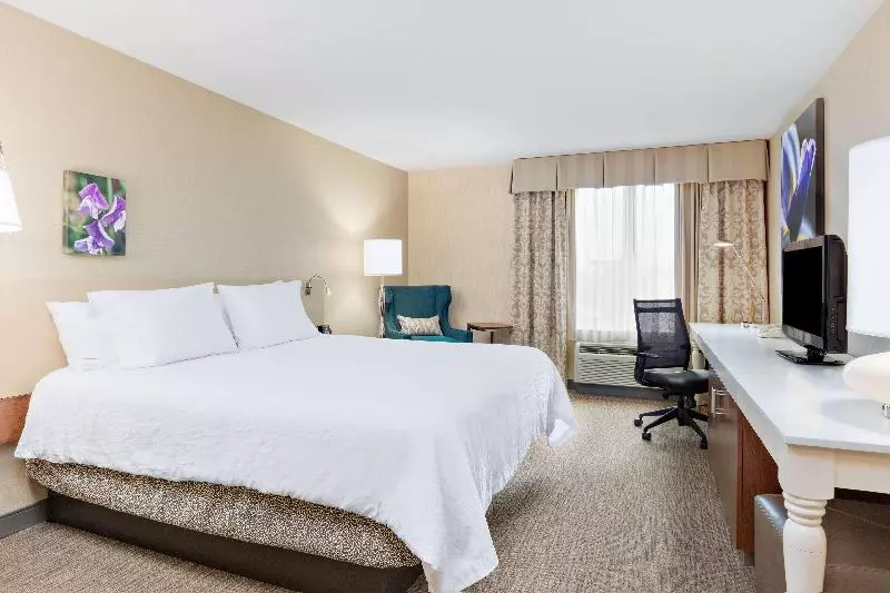 اتاق استاندارد با تخت بزرگ, Hilton Garden Inn Folsom