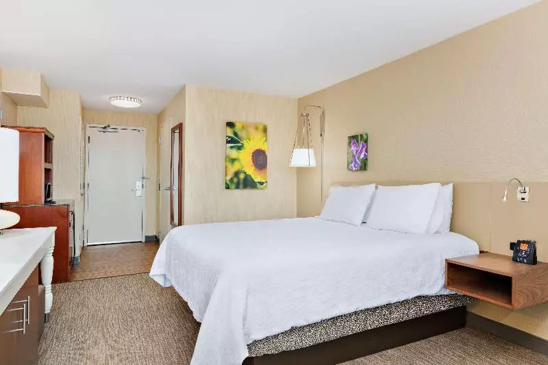 اتاق استاندارد با تخت بزرگ, Hilton Garden Inn Folsom