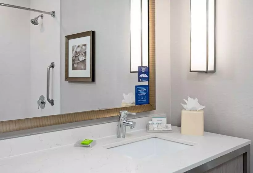 اتاق استاندارد با تخت بزرگ, Hilton Garden Inn Roseville