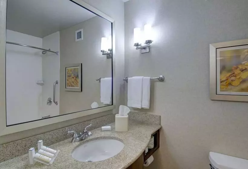 ハイドロマッサージバス付きスイート, Hilton Garden Inn Shelton