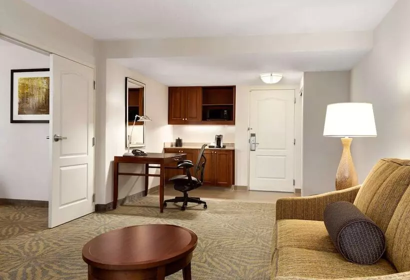 ハイドロマッサージバス付きスイート, Hilton Garden Inn Shelton