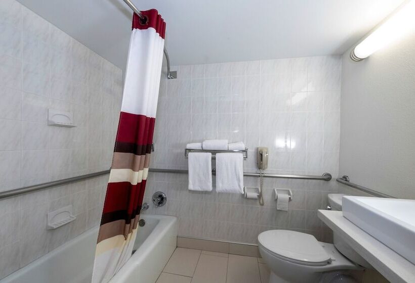 غرفة ديلوكس, Red Roof Inn Plus Newark Liberty Airport   Carteret