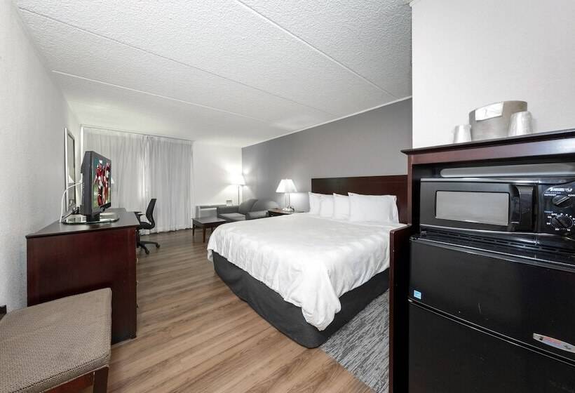 غرفة ديلوكس, Red Roof Inn Plus Newark Liberty Airport   Carteret