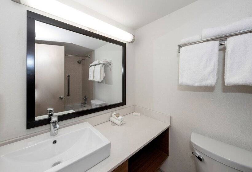 غرفة ديلوكس لذوى الاحتياجات الخاصة, Red Roof Inn Plus Newark Liberty Airport   Carteret