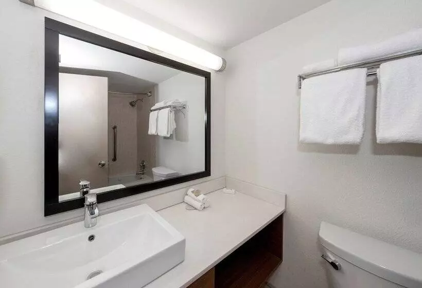 障害者適応デラックスルーム, Red Roof Inn Plus Newark Liberty Airport   Carteret