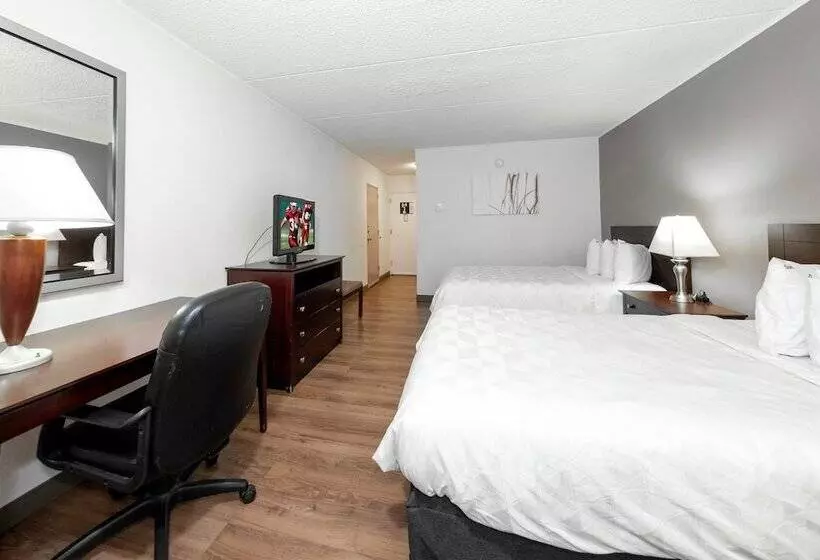 障害者適応デラックスルーム, Red Roof Inn Plus Newark Liberty Airport   Carteret