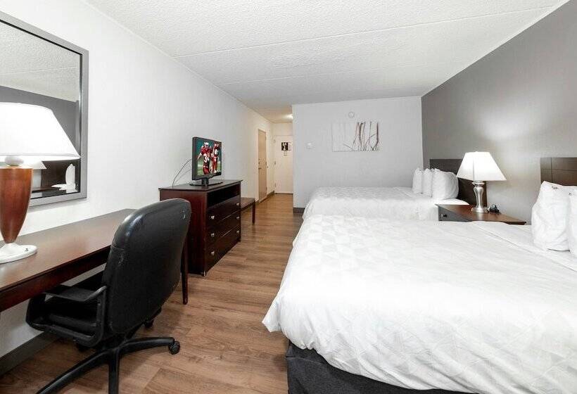 غرفة ديلوكس, Red Roof Inn Plus Newark Liberty Airport   Carteret