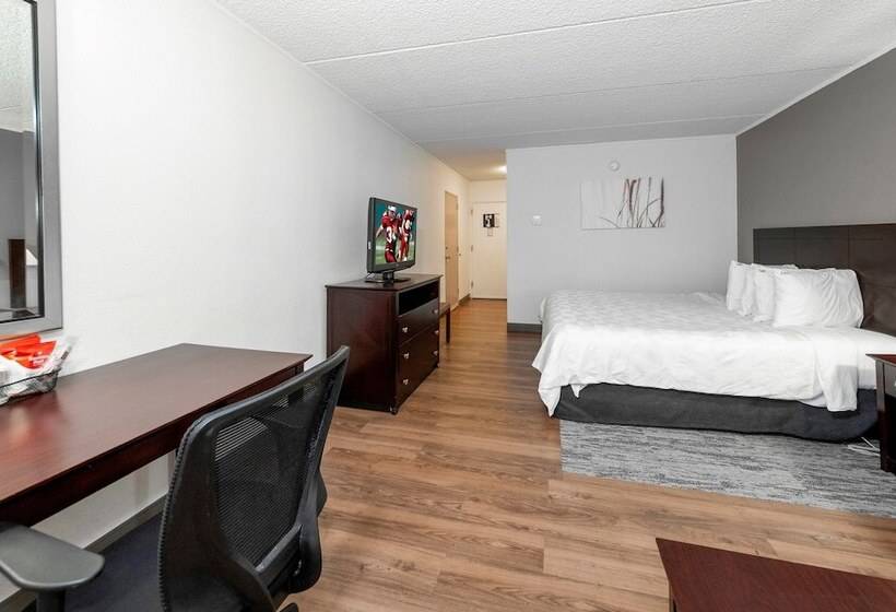 غرفة بريميوم, Red Roof Inn Plus Newark Liberty Airport   Carteret