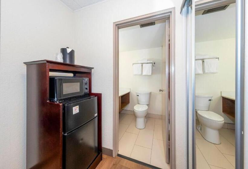 디럭스 룸 킹사이즈 침대, Red Roof Inn Plus Newark Liberty Airport   Carteret