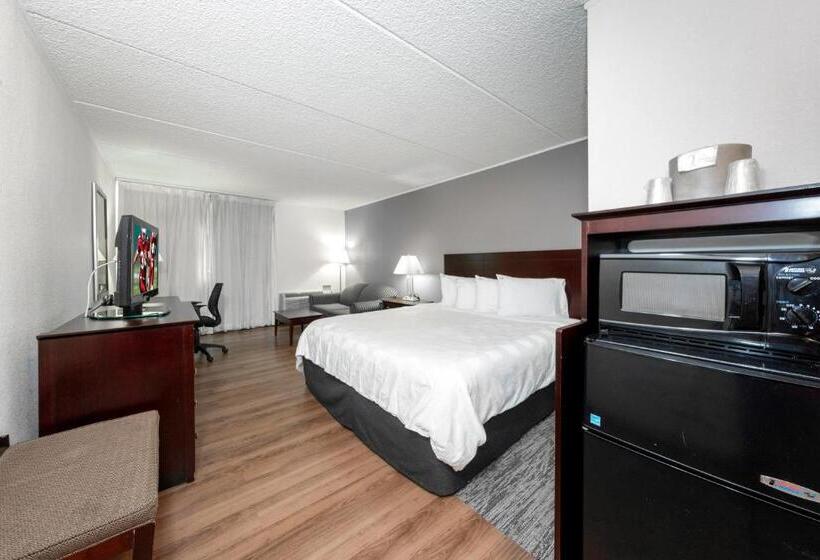 غرفة سوبيريور سرير كينج, Red Roof Inn Plus Newark Liberty Airport   Carteret