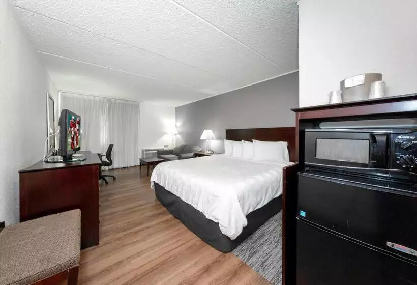 キングサイズベッドのスーペリアルーム, Red Roof Inn Plus Newark Liberty Airport   Carteret