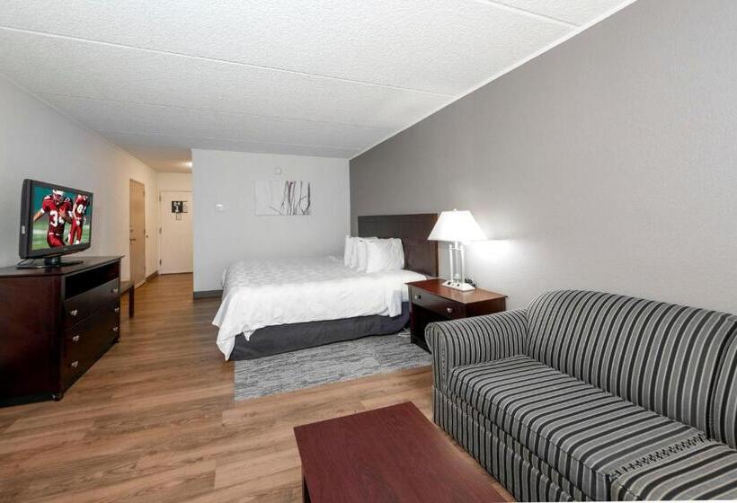 디럭스 룸 킹사이즈 침대, Red Roof Inn Plus Newark Liberty Airport   Carteret