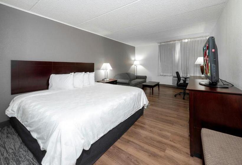 غرفة سوبيريور سرير كينج, Red Roof Inn Plus Newark Liberty Airport   Carteret