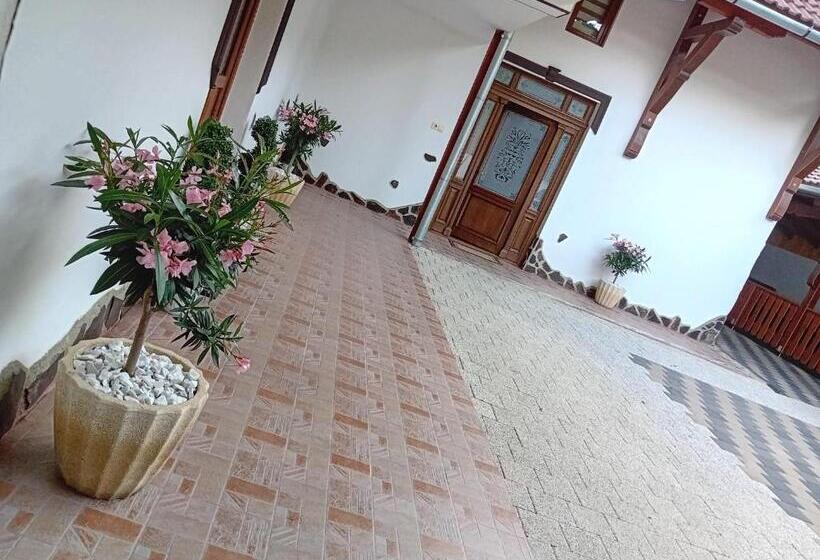 חדר סטנדרט לשלושה, Pensiunea Hanzu Darius