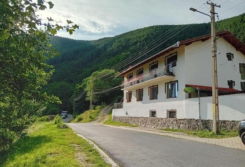 חדר סטנדרט לשלושה, Pensiunea Hanzu Darius