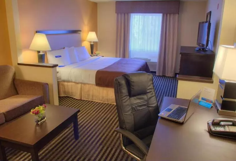 Standard-studio King-vuode, Baymont By Wyndham Dallas/ Love Field