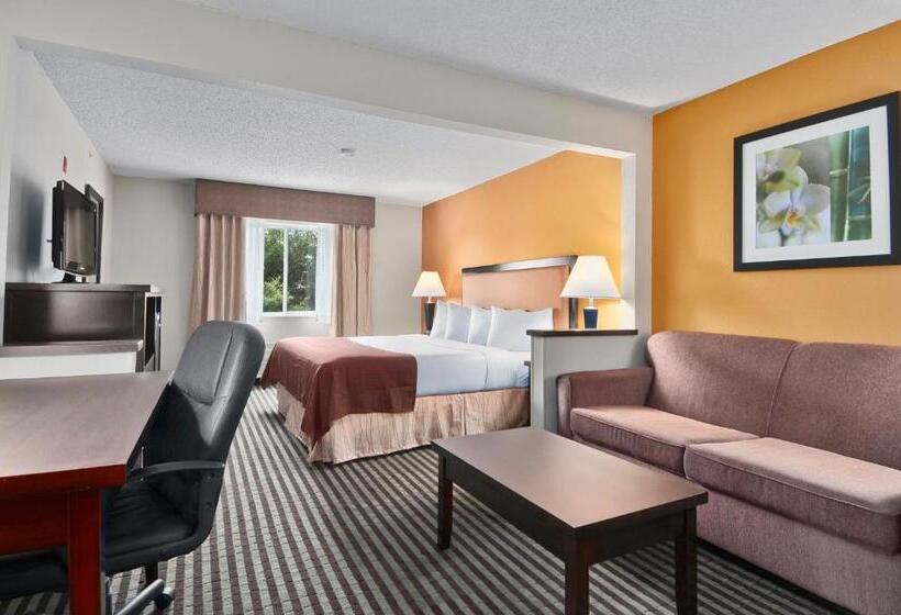 キングサイドベッドのスタンダードワンルーム, Baymont By Wyndham Dallas/ Love Field