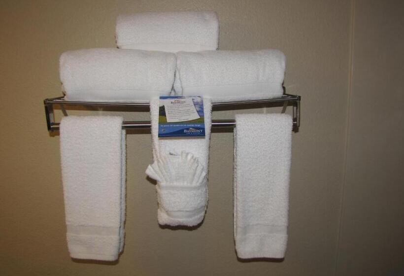 キングサイズベッドのスタンダードルーム, Baymont By Wyndham Dallas/ Love Field