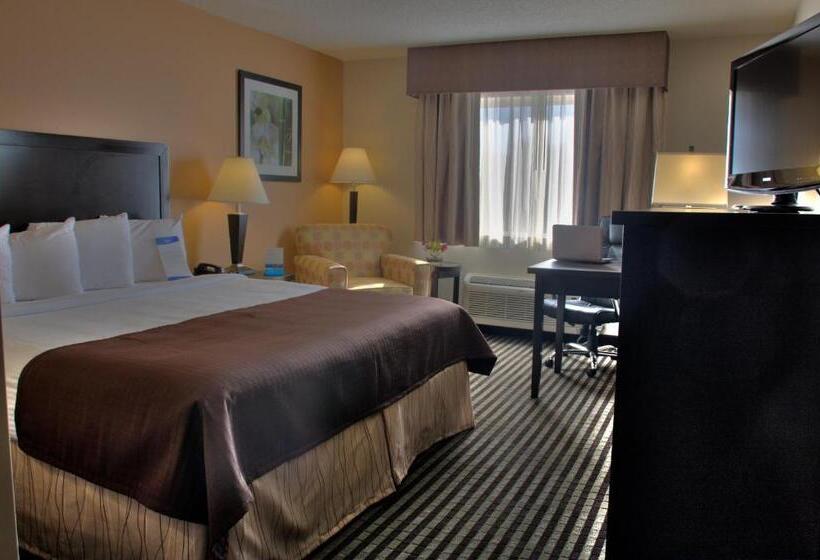 身障者適用キングサイズベッドルーム, Baymont By Wyndham Dallas/ Love Field