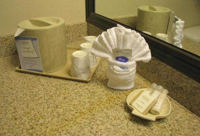 身障者適用スタンダードルーム, Baymont By Wyndham Dallas/ Love Field