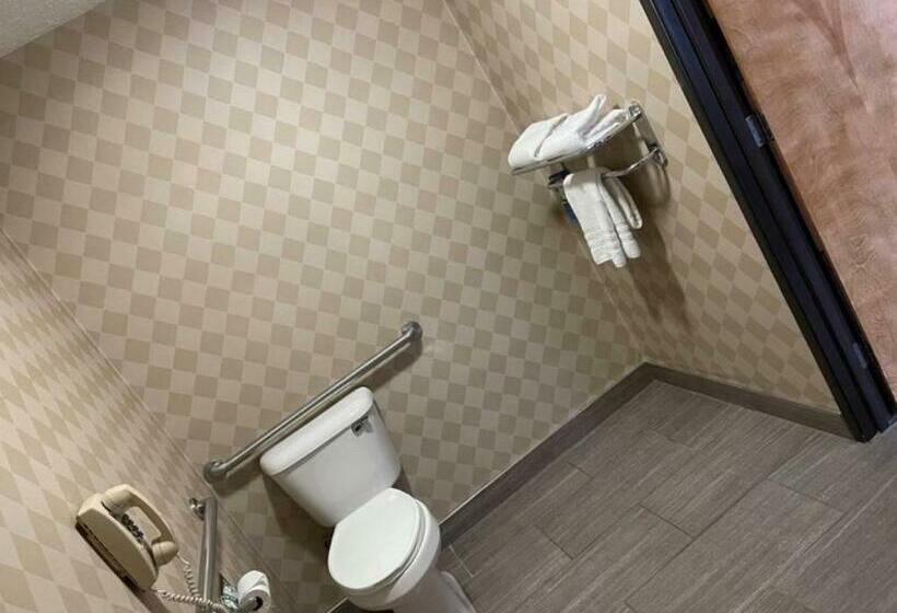 غرفة قياسية لذوى الاحتياجات الخاصة, Baymont By Wyndham Galesburg