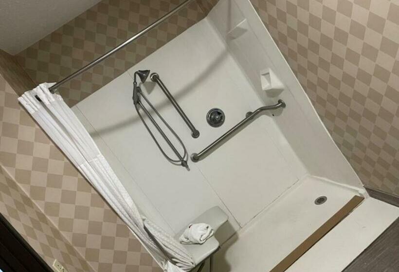 غرفة قياسية لذوى الاحتياجات الخاصة, Baymont By Wyndham Galesburg