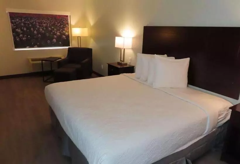 Standard-huone King-vuode, Best Western Childress West