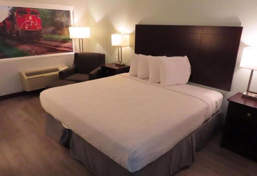 חדר סטנדרט עם מיטת קינג, Best Western Childress West