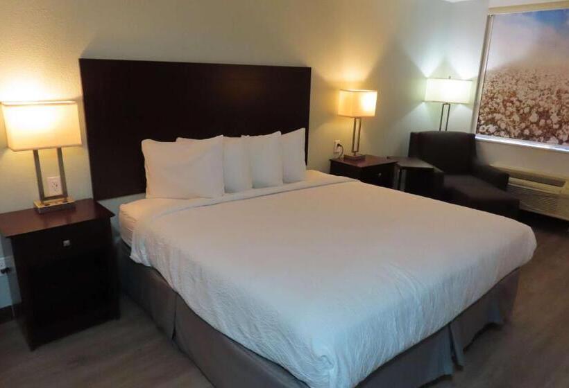 חדר סטנדרט עם מיטת קינג, Best Western Childress West