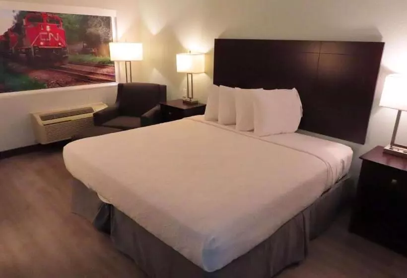 Standard-invahuone King-vuode, Best Western Childress West