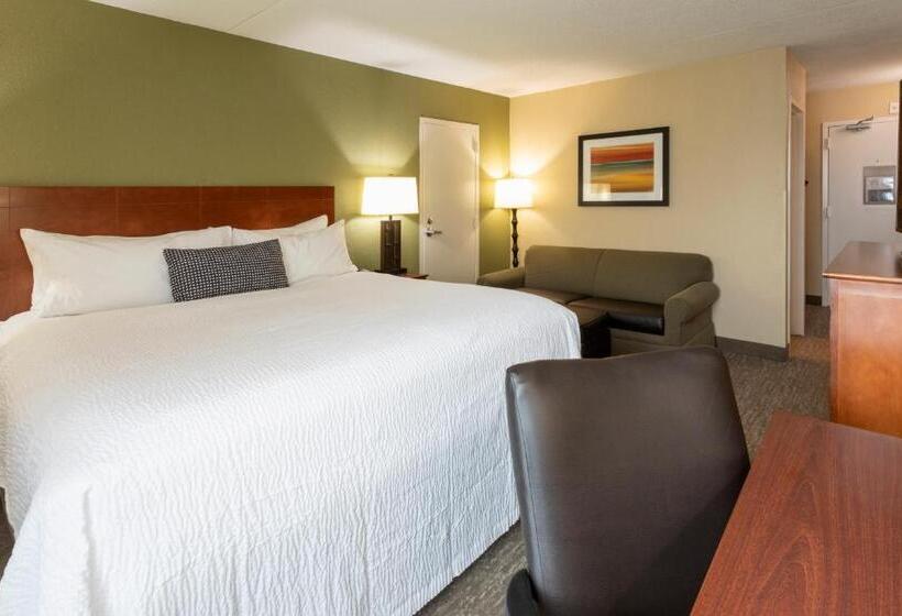 غرفة قياسية سرير كينج, Best Western Fairmont