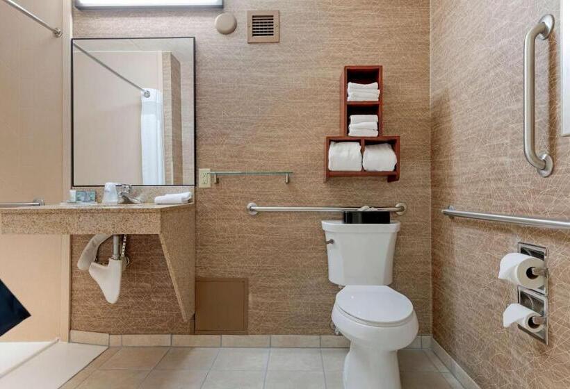 غرفة قياسية سرير كينج لذوى الإحتياجات الخاصة, Best Western Fairmont