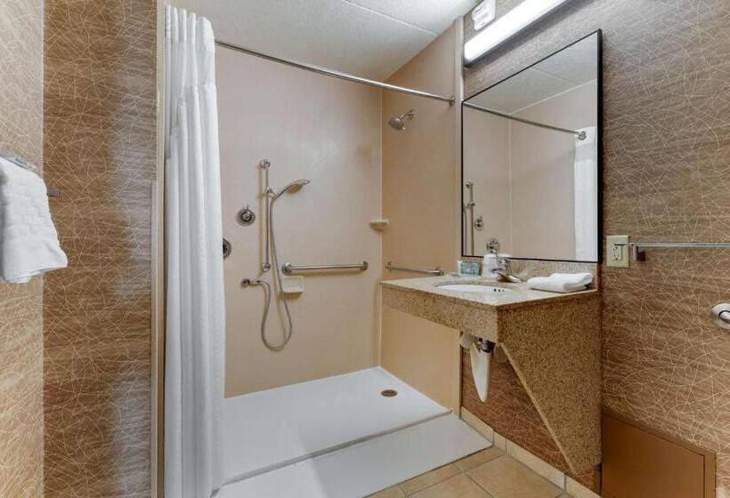 غرفة قياسية سرير كينج لذوى الإحتياجات الخاصة, Best Western Fairmont