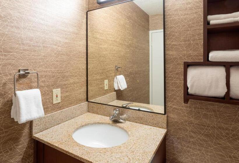 غرفة قياسية سرير ملكى, Best Western Fairmont