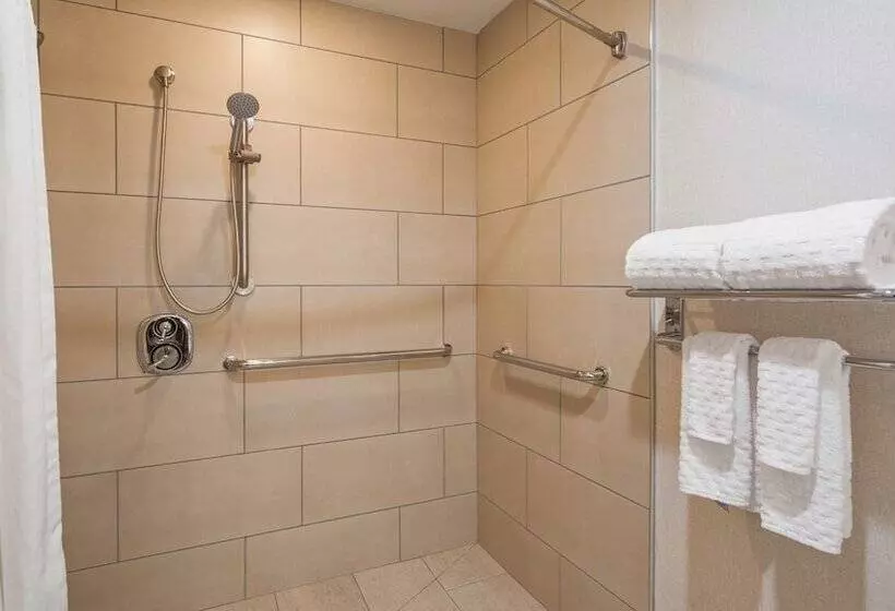 ２ダブルベッドのスタンダードルーム, Best Western Plus Wilkes Barrescranton Airport