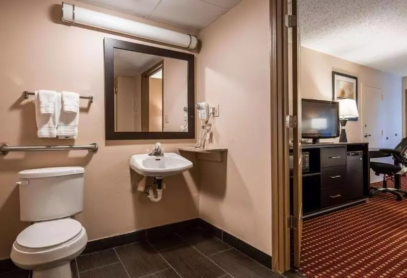 身障者適用キングサイズベッドルーム, Best Western Van Buren Inn
