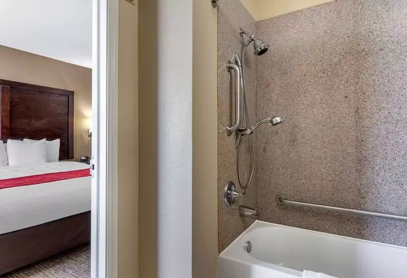 身障者適用スイートルーム, Comfort Inn & Suites Fm1960 Champions